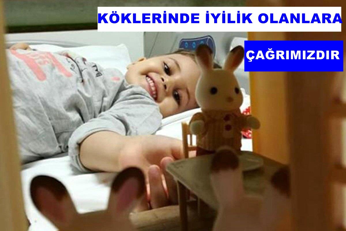 Binlerce hasta, kan, kök hücre bağışı bekliyor.